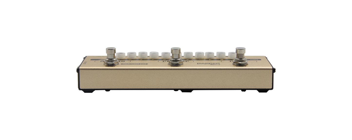 Dapper Acoustic Mini